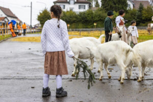 Appenzell, Appenzell Ausserrohden, Brauchtum, Landwirtschaft, Ostschweiz, Schweiz, Speicher, Suisse, Switzerland, Viehschau, Wirtschaft