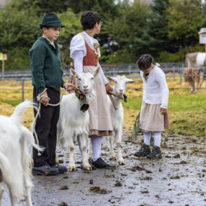Appenzell, Appenzell Ausserrohden, Brauchtum, Landwirtschaft, Ostschweiz, Schweiz, Speicher, Suisse, Switzerland, Viehschau, Wirtschaft