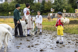 Appenzell, Appenzell Ausserrohden, Brauchtum, Landwirtschaft, Ostschweiz, Schweiz, Speicher, Suisse, Switzerland, Viehschau, Wirtschaft