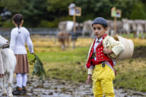 Appenzell, Appenzell Ausserrohden, Brauchtum, Landwirtschaft, Ostschweiz, Schweiz, Speicher, Suisse, Switzerland, Viehschau, Wirtschaft