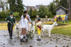 Appenzell, Appenzell Ausserrohden, Brauchtum, Landwirtschaft, Ostschweiz, Schweiz, Speicher, Suisse, Switzerland, Viehschau, Wirtschaft