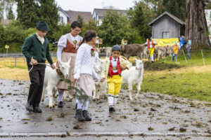 Appenzell, Appenzell Ausserrohden, Brauchtum, Landwirtschaft, Ostschweiz, Schweiz, Speicher, Suisse, Switzerland, Viehschau, Wirtschaft