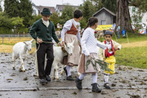 Appenzell, Appenzell Ausserrohden, Brauchtum, Landwirtschaft, Ostschweiz, Schweiz, Speicher, Suisse, Switzerland, Viehschau, Wirtschaft