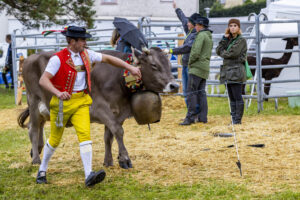 Appenzell, Appenzell Ausserrohden, Brauchtum, Landwirtschaft, Ostschweiz, Schweiz, Speicher, Suisse, Switzerland, Viehschau, Wirtschaft