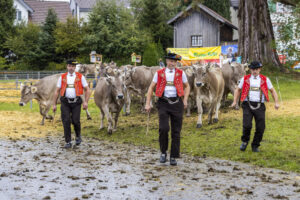 Appenzell, Appenzell Ausserrohden, Brauchtum, Landwirtschaft, Ostschweiz, Schweiz, Speicher, Suisse, Switzerland, Viehschau, Wirtschaft