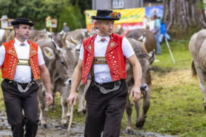 Appenzell, Appenzell Ausserrohden, Brauchtum, Landwirtschaft, Ostschweiz, Schweiz, Speicher, Suisse, Switzerland, Viehschau, Wirtschaft