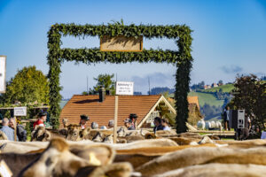 Appenzell, Appenzell Ausserrohden, Landwirtschaft, Schweiz, Suisse, Switzerland, Tracht, Trogen, Viehschau, Wirtschaft, tradition