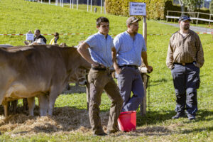 Appenzell, Appenzell Ausserrohden, Landwirtschaft, Schweiz, Suisse, Switzerland, Tracht, Trogen, Viehschau, Wirtschaft, tradition
