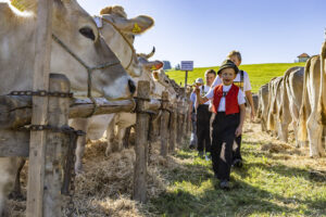 Appenzell, Appenzell Ausserrohden, Landwirtschaft, Schweiz, Suisse, Switzerland, Tracht, Trogen, Viehschau, Wirtschaft, tradition