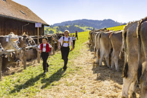 Appenzell, Appenzell Ausserrohden, Landwirtschaft, Schweiz, Suisse, Switzerland, Tracht, Trogen, Viehschau, Wirtschaft, tradition