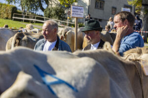 Appenzell, Appenzell Ausserrohden, Landwirtschaft, Schweiz, Suisse, Switzerland, Tracht, Trogen, Viehschau, Wirtschaft, tradition