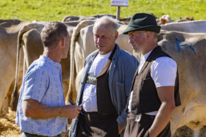 Appenzell, Appenzell Ausserrohden, Landwirtschaft, Schweiz, Suisse, Switzerland, Tracht, Trogen, Viehschau, Wirtschaft, tradition
