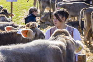 Appenzell, Appenzell Ausserrohden, Landwirtschaft, Schweiz, Suisse, Switzerland, Tracht, Trogen, Viehschau, Wirtschaft, tradition