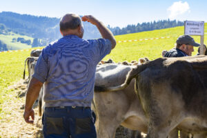 Appenzell, Appenzell Ausserrohden, Landwirtschaft, Schweiz, Suisse, Switzerland, Tracht, Trogen, Viehschau, Wirtschaft, tradition