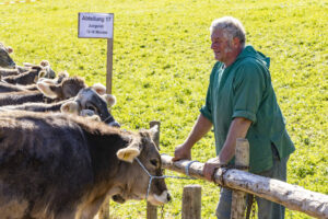 Appenzell, Appenzell Ausserrohden, Landwirtschaft, Schweiz, Suisse, Switzerland, Tracht, Trogen, Viehschau, Wirtschaft, tradition