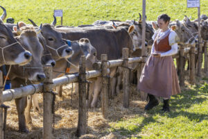 Appenzell, Appenzell Ausserrohden, Landwirtschaft, Schweiz, Suisse, Switzerland, Tracht, Trogen, Viehschau, Wirtschaft, tradition