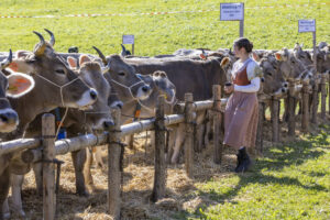 Appenzell, Appenzell Ausserrohden, Landwirtschaft, Schweiz, Suisse, Switzerland, Tracht, Trogen, Viehschau, Wirtschaft, tradition