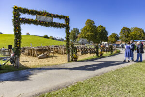 Appenzell, Appenzell Ausserrohden, Landwirtschaft, Schweiz, Suisse, Switzerland, Tracht, Trogen, Viehschau, Wirtschaft, tradition
