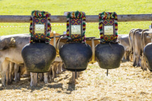Appenzell, Appenzell Ausserrohden, Landwirtschaft, Schweiz, Suisse, Switzerland, Tracht, Trogen, Viehschau, Wirtschaft, tradition