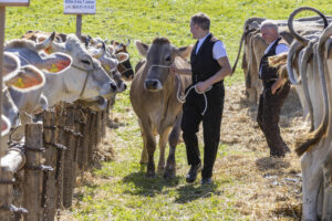 Appenzell, Appenzell Ausserrohden, Landwirtschaft, Schweiz, Suisse, Switzerland, Tracht, Trogen, Viehschau, Wirtschaft, tradition