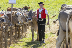 Appenzell, Appenzell Ausserrohden, Landwirtschaft, Schweiz, Suisse, Switzerland, Tracht, Trogen, Viehschau, Wirtschaft, tradition