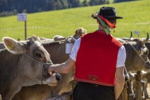 Appenzell, Appenzell Ausserrohden, Landwirtschaft, Schweiz, Suisse, Switzerland, Tracht, Trogen, Viehschau, Wirtschaft, tradition