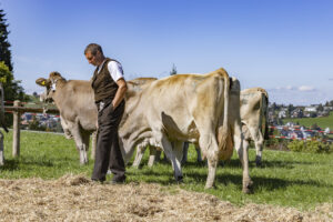 Appenzell, Appenzell Ausserrohden, Landwirtschaft, Schweiz, Suisse, Switzerland, Tracht, Trogen, Viehschau, Wirtschaft, tradition