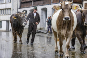 Appenzell, Appenzell Ausserrohden, Appenzeller Hinterland, Autumn, Brauchtum, Fall, Herbst, Landwirtschaft, Ostschweiz, Schweiz, Sennen, Suisse, Switzerland, Tracht, Urnaesch, Urnäsch, Viehschau, Wirtschaft, tradition