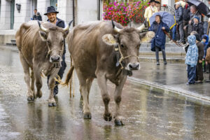 Appenzell, Appenzell Ausserrohden, Appenzeller Hinterland, Autumn, Brauchtum, Fall, Herbst, Landwirtschaft, Ostschweiz, Schweiz, Sennen, Suisse, Switzerland, Tracht, Urnaesch, Urnäsch, Viehschau, Wirtschaft, tradition