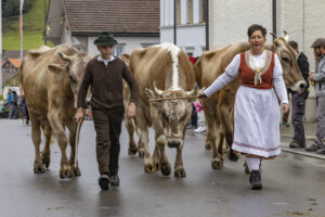 Appenzell, Appenzell Ausserrohden, Appenzeller Hinterland, Autumn, Brauchtum, Fall, Herbst, Landwirtschaft, Ostschweiz, Schweiz, Sennen, Suisse, Switzerland, Tracht, Urnaesch, Urnäsch, Viehschau, Wirtschaft, tradition