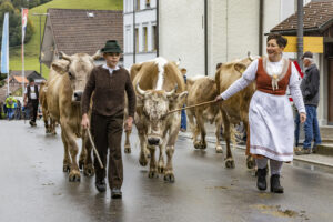 Appenzell, Appenzell Ausserrohden, Appenzeller Hinterland, Autumn, Brauchtum, Fall, Herbst, Landwirtschaft, Ostschweiz, Schweiz, Sennen, Suisse, Switzerland, Tracht, Urnaesch, Urnäsch, Viehschau, Wirtschaft, tradition