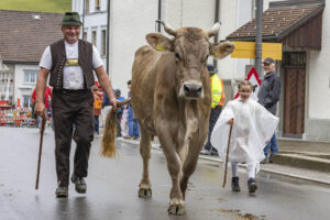 Appenzell, Appenzell Ausserrohden, Appenzeller Hinterland, Autumn, Brauchtum, Fall, Herbst, Landwirtschaft, Ostschweiz, Schweiz, Sennen, Suisse, Switzerland, Tracht, Urnaesch, Urnäsch, Viehschau, Wirtschaft, tradition