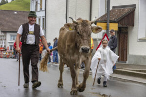 Appenzell, Appenzell Ausserrohden, Appenzeller Hinterland, Autumn, Brauchtum, Fall, Herbst, Landwirtschaft, Ostschweiz, Schweiz, Sennen, Suisse, Switzerland, Tracht, Urnaesch, Urnäsch, Viehschau, Wirtschaft, tradition