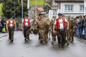 Appenzell, Appenzell Ausserrohden, Appenzeller Hinterland, Autumn, Brauchtum, Fall, Herbst, Landwirtschaft, Ostschweiz, Schweiz, Sennen, Suisse, Switzerland, Tracht, Urnaesch, Urnäsch, Viehschau, Wirtschaft, tradition