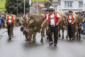 Appenzell, Appenzell Ausserrohden, Appenzeller Hinterland, Autumn, Brauchtum, Fall, Herbst, Landwirtschaft, Ostschweiz, Schweiz, Sennen, Suisse, Switzerland, Tracht, Urnaesch, Urnäsch, Viehschau, Wirtschaft, tradition