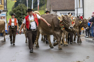 Appenzell, Appenzell Ausserrohden, Appenzeller Hinterland, Autumn, Brauchtum, Fall, Herbst, Landwirtschaft, Ostschweiz, Schweiz, Sennen, Suisse, Switzerland, Tracht, Urnaesch, Urnäsch, Viehschau, Wirtschaft, tradition