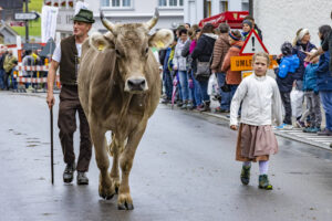 Appenzell, Appenzell Ausserrohden, Appenzeller Hinterland, Autumn, Brauchtum, Fall, Herbst, Landwirtschaft, Ostschweiz, Schweiz, Sennen, Suisse, Switzerland, Tracht, Urnaesch, Urnäsch, Viehschau, Wirtschaft, tradition