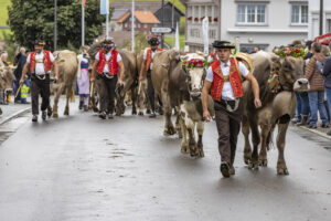 Appenzell, Appenzell Ausserrohden, Appenzeller Hinterland, Autumn, Brauchtum, Fall, Herbst, Landwirtschaft, Ostschweiz, Schweiz, Sennen, Suisse, Switzerland, Tracht, Urnaesch, Urnäsch, Viehschau, Wirtschaft, tradition