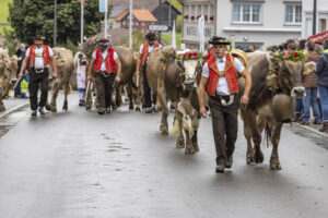 Appenzell, Appenzell Ausserrohden, Appenzeller Hinterland, Autumn, Brauchtum, Fall, Herbst, Landwirtschaft, Ostschweiz, Schweiz, Sennen, Suisse, Switzerland, Tracht, Urnaesch, Urnäsch, Viehschau, Wirtschaft, tradition