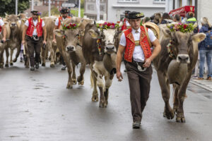 Appenzell, Appenzell Ausserrohden, Appenzeller Hinterland, Autumn, Brauchtum, Fall, Herbst, Landwirtschaft, Ostschweiz, Schweiz, Sennen, Suisse, Switzerland, Tracht, Urnaesch, Urnäsch, Viehschau, Wirtschaft, tradition
