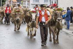Appenzell, Appenzell Ausserrohden, Appenzeller Hinterland, Autumn, Brauchtum, Fall, Herbst, Landwirtschaft, Ostschweiz, Schweiz, Sennen, Suisse, Switzerland, Tracht, Urnaesch, Urnäsch, Viehschau, Wirtschaft, tradition