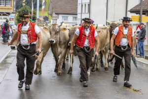 Appenzell, Appenzell Ausserrohden, Appenzeller Hinterland, Autumn, Brauchtum, Fall, Herbst, Landwirtschaft, Ostschweiz, Schweiz, Sennen, Suisse, Switzerland, Tracht, Urnaesch, Urnäsch, Viehschau, Wirtschaft, tradition