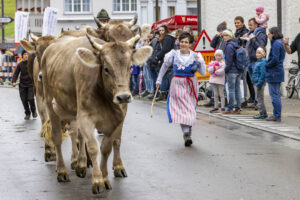 Appenzell, Appenzell Ausserrohden, Appenzeller Hinterland, Autumn, Brauchtum, Fall, Herbst, Landwirtschaft, Ostschweiz, Schweiz, Sennen, Suisse, Switzerland, Tracht, Urnaesch, Urnäsch, Viehschau, Wirtschaft, tradition