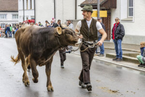Appenzell, Appenzell Ausserrohden, Appenzeller Hinterland, Autumn, Brauchtum, Fall, Herbst, Landwirtschaft, Ostschweiz, Schweiz, Sennen, Suisse, Switzerland, Tracht, Urnaesch, Urnäsch, Viehschau, Wirtschaft, tradition