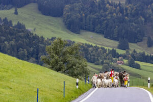 Appenzell, Appenzell Ausserrohden, Appenzeller Hinterland, Autumn, Brauchtum, Fall, Herbst, Landwirtschaft, Ostschweiz, Schweiz, Sennen, Suisse, Switzerland, Tracht, Urnaesch, Urnäsch, Viehschau, Wirtschaft, tradition