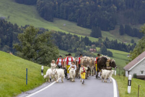 Appenzell, Appenzell Ausserrohden, Appenzeller Hinterland, Autumn, Brauchtum, Fall, Herbst, Landwirtschaft, Ostschweiz, Schweiz, Sennen, Suisse, Switzerland, Tracht, Urnaesch, Urnäsch, Viehschau, Wirtschaft, tradition