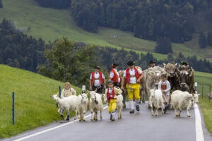 Appenzell, Appenzell Ausserrohden, Appenzeller Hinterland, Autumn, Brauchtum, Fall, Herbst, Landwirtschaft, Ostschweiz, Schweiz, Sennen, Suisse, Switzerland, Tracht, Urnaesch, Urnäsch, Viehschau, Wirtschaft, tradition