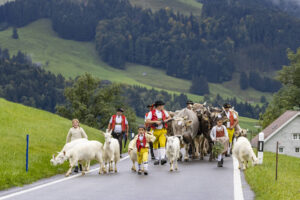 Appenzell, Appenzell Ausserrohden, Appenzeller Hinterland, Autumn, Brauchtum, Fall, Herbst, Landwirtschaft, Ostschweiz, Schweiz, Sennen, Suisse, Switzerland, Tracht, Urnaesch, Urnäsch, Viehschau, Wirtschaft, tradition