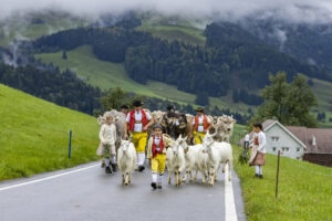 Appenzell, Appenzell Ausserrohden, Appenzeller Hinterland, Autumn, Brauchtum, Fall, Herbst, Landwirtschaft, Ostschweiz, Schweiz, Sennen, Suisse, Switzerland, Tracht, Urnaesch, Urnäsch, Viehschau, Wirtschaft, tradition