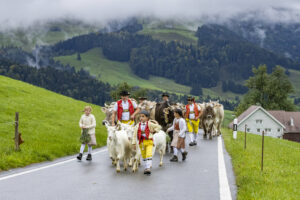 Appenzell, Appenzell Ausserrohden, Appenzeller Hinterland, Autumn, Brauchtum, Fall, Herbst, Landwirtschaft, Ostschweiz, Schweiz, Sennen, Suisse, Switzerland, Tracht, Urnaesch, Urnäsch, Viehschau, Wirtschaft, tradition